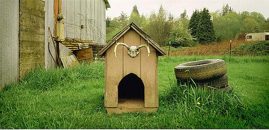 IGN评《孤岛惊魂》史上十佳作品 《孤岛惊魂6》排第三